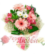 №66. Букет из 3 гербер, 4 альстермерий, кустовых хризантем.