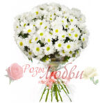 Акция 9 белых хризантем