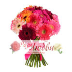 №65. Букет из 13 Гербер.