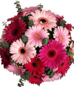 №116  Букет из Герберы, эвкалипт, упаковка.