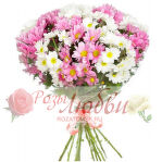 №58. Хризантема кустовая Белая-розовая.