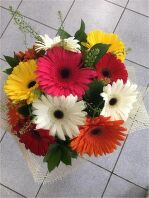 № 250 Букет из 11 гербер с упаковкой.