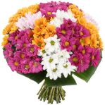 №119  Букет из 25 штук хризантемы кустовой.