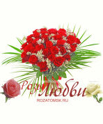 №136 Букет из Розы 35 шт. и гипсофилы.