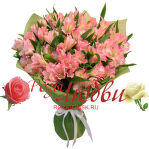 №154 Букет из 9 альстермерий в упаковки. (цвет по желанию заказчика )