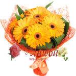 №146 Букет из 7 ярких гербер с аспидистрой в сизали.