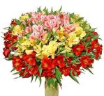 № 268 Букет из 31 красных, розовых и желтых Альстромерии.