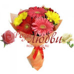 №152 Букет из 9 разноцветных гербер с рускусом в фетре.