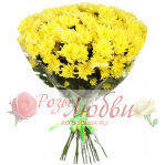 №56. Желтые хризантемы.