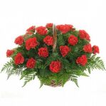 19 роз с зеленью. Шикарный подарок.