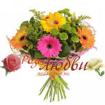 №151 Букет из 7 разноцветных гербер из 4 зеленых хризантем и зелень.