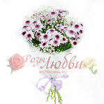 №48. Букет из 5 хризантем.