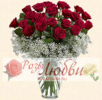 №35. Букет из 21 красной розы с подбивкой из гипсофилы.