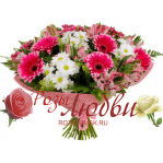 №153 Букет из 11 гербер 7 кустовых хризантем и 7 альстермерии с зеленью.