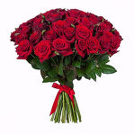 Акция 21 шт. Красных Роз. Высота 60 см.