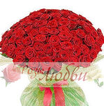 Акция  101 шт. Красных роз  Высотой 60 см.