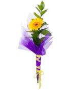 №171 Букет из 1 шт. Герберы с упаковкой.