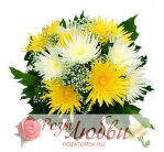 №95. Букет из одиннадцати хризантем и гипсофилы. 