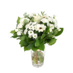 хризантема кустовая, 