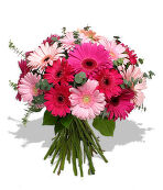 Гербера, эвкалипт,