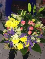 img_3146-17-08-18-05-11