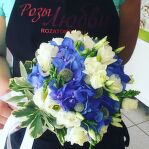 img_3133-17-08-18-05-11