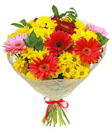 №134 Букет из кустовой хризантемы 5 шт. и  6 шт. ярких гербер.