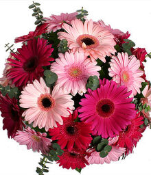 №116  Букет из Герберы, эвкалипт, упаковка.