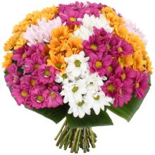 №119  Букет из 25 штук хризантемы кустовой.