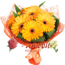 №146 Букет из 7 ярких гербер с аспидистрой в сизали.