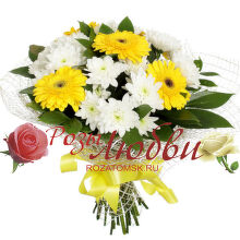 №149 Букет из 5 гербер 4 хризантем с зеленью в сетке.