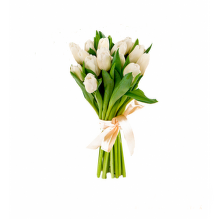 № 528 Букет из 15 молочных тюльпанов