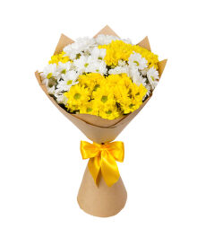 № 208 Букет из 7 желто - белых хризантем с упаковкой.