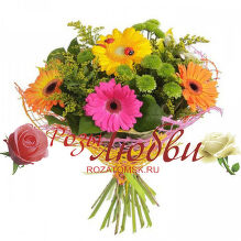№151 Букет из 7 разноцветных гербер из 4 зеленых хризантем и зелень.