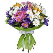№179    Букет из разных хризантем 5 шт, 3 альстромерий и 5 ирисов