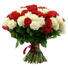 № 454 Букет из 51 красно-белых роз.