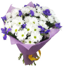 №185    Букет из 5 шт белых кустовых хризантем и 10 шт синих ирисов.
